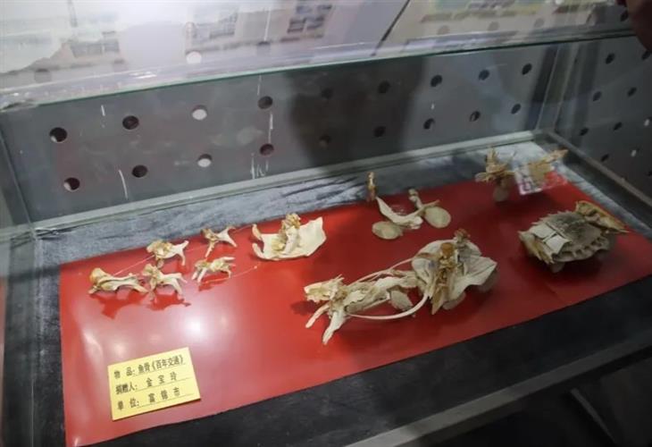 WDCM上傳圖片